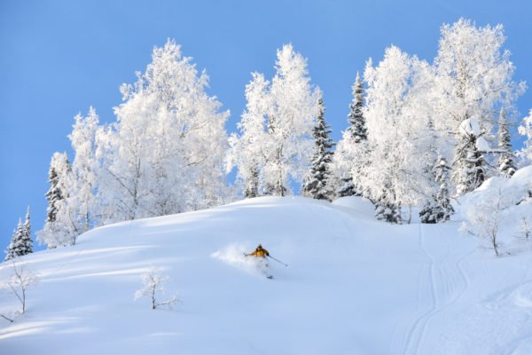 Siberian powder - Luzhba Skitouring Lodge
